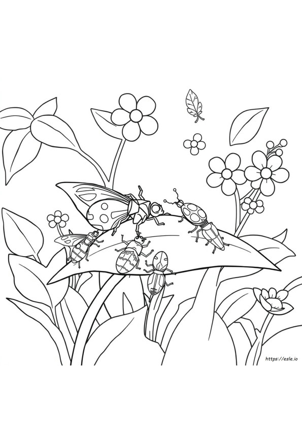Coloriages D'insectes