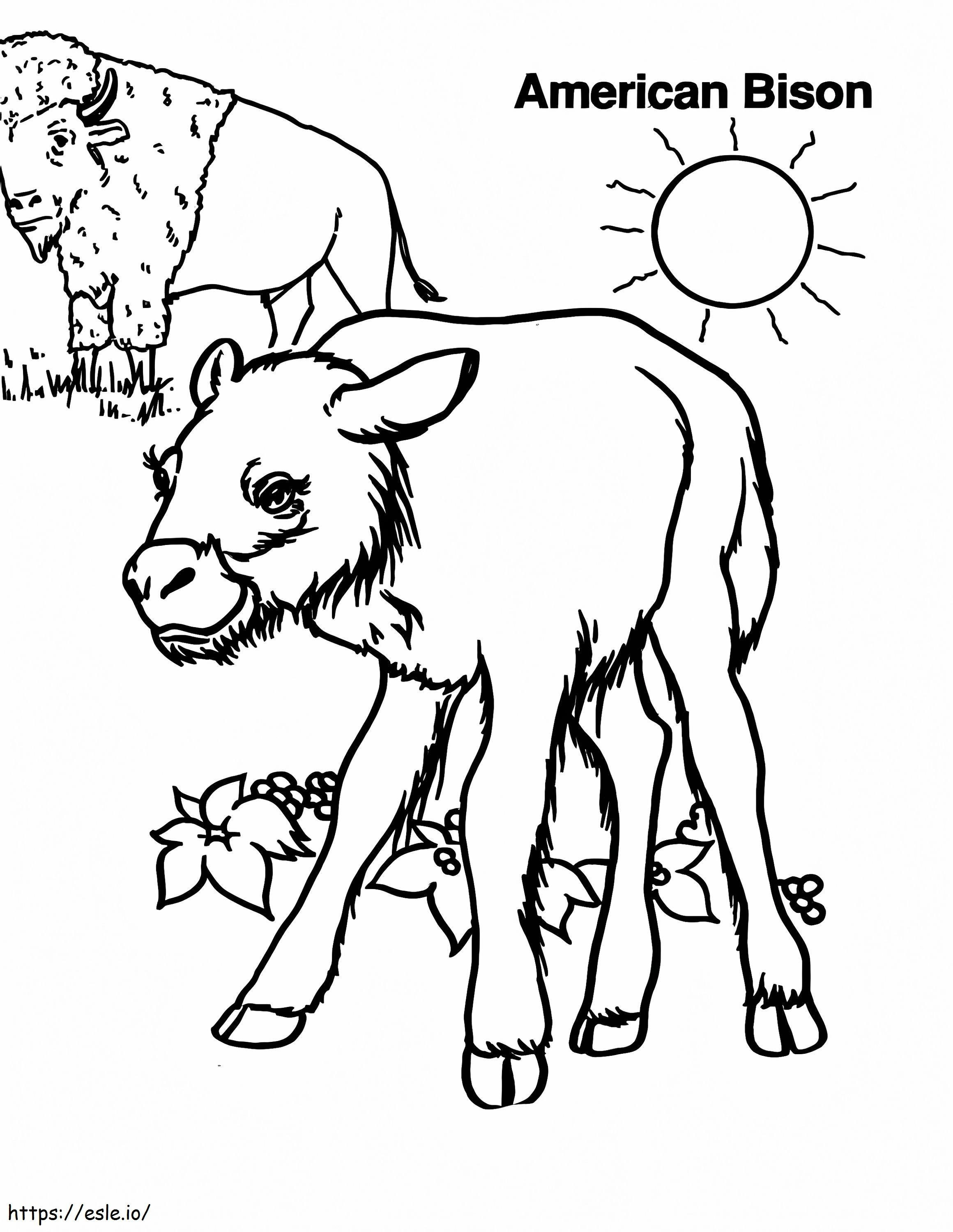 Mother Bison And Baby coloring page