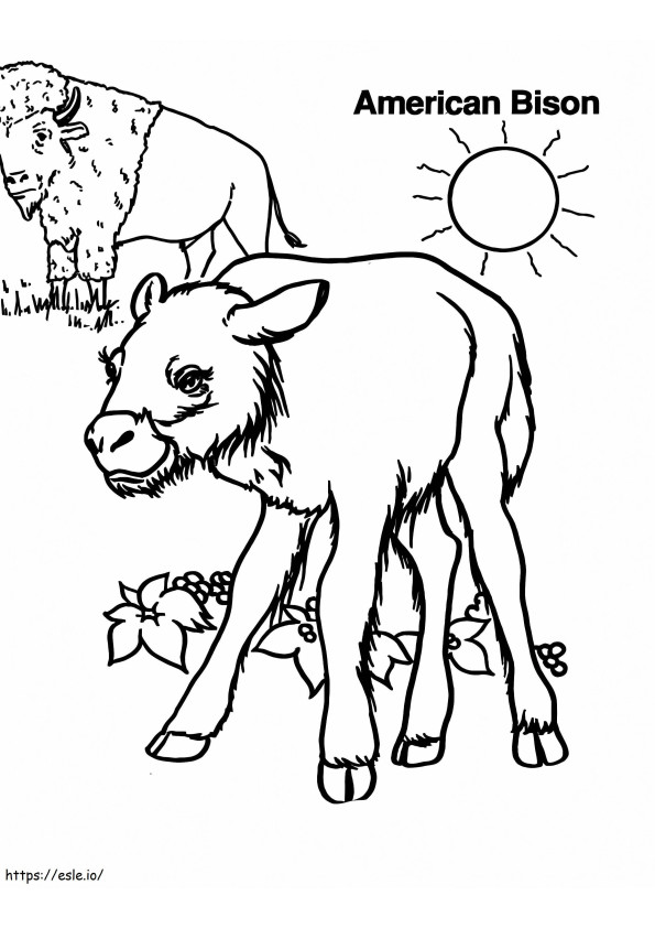 Mother Bison And Baby coloring page