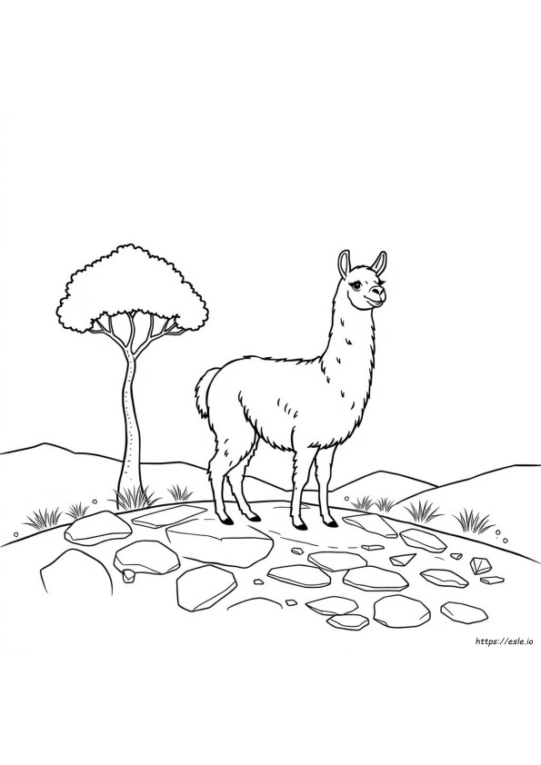 Llama Para Colorir