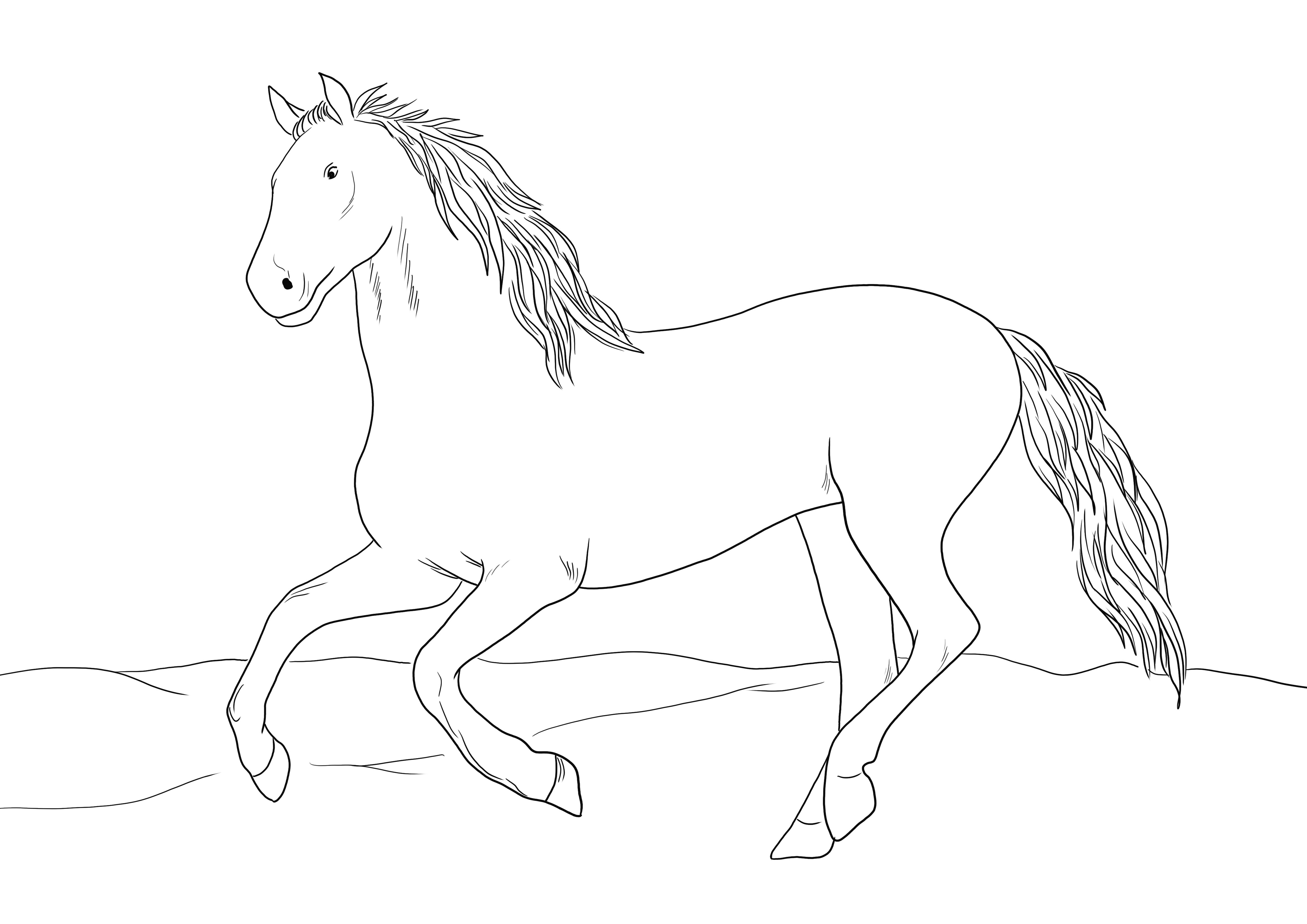 Een sierlijke kleurplaat van een Andalusisch paard om gratis af te drukken of te downloaden kleurplaat