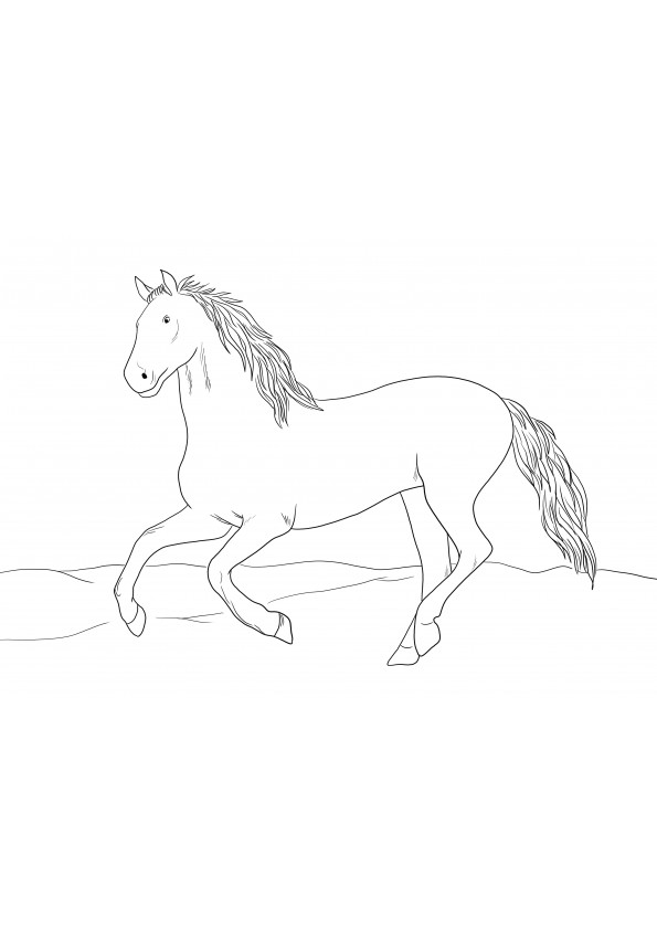 Een sierlijke kleurplaat van een Andalusisch paard om gratis af te drukken of te downloaden