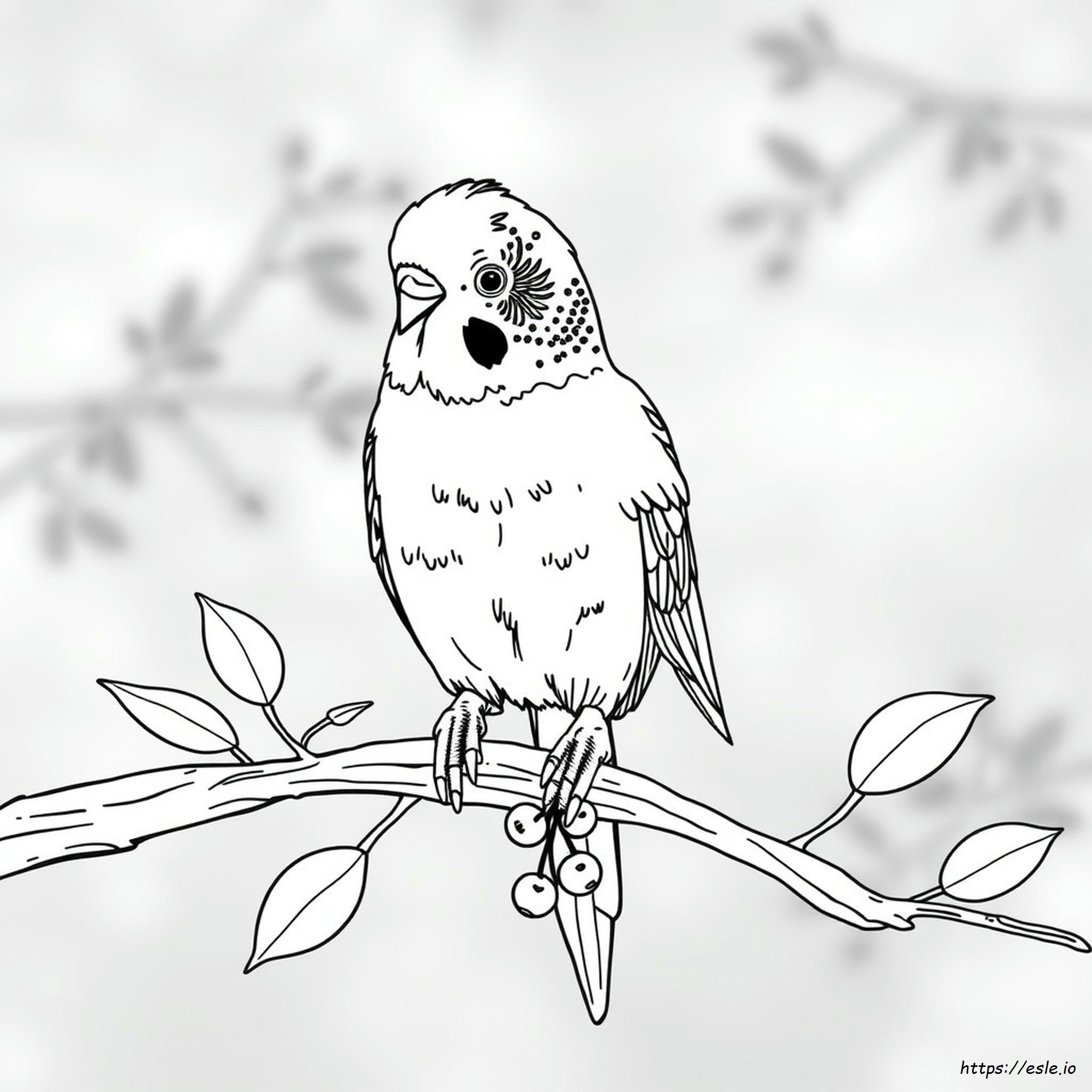 Disegni Realistici Di Pappagallini Da Colorare