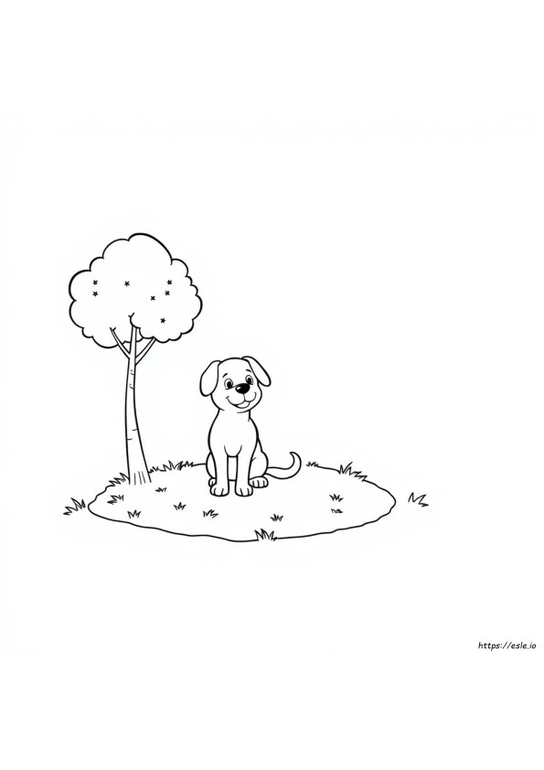 Köpek Boyama Resimleri