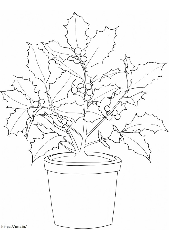 Poinsettia In The Pot coloring page