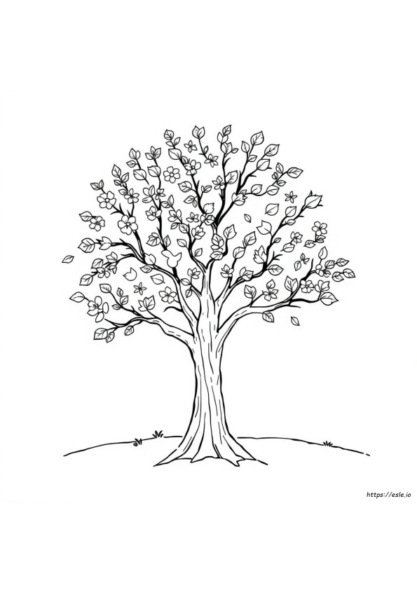 Seasons Colouring Sheet