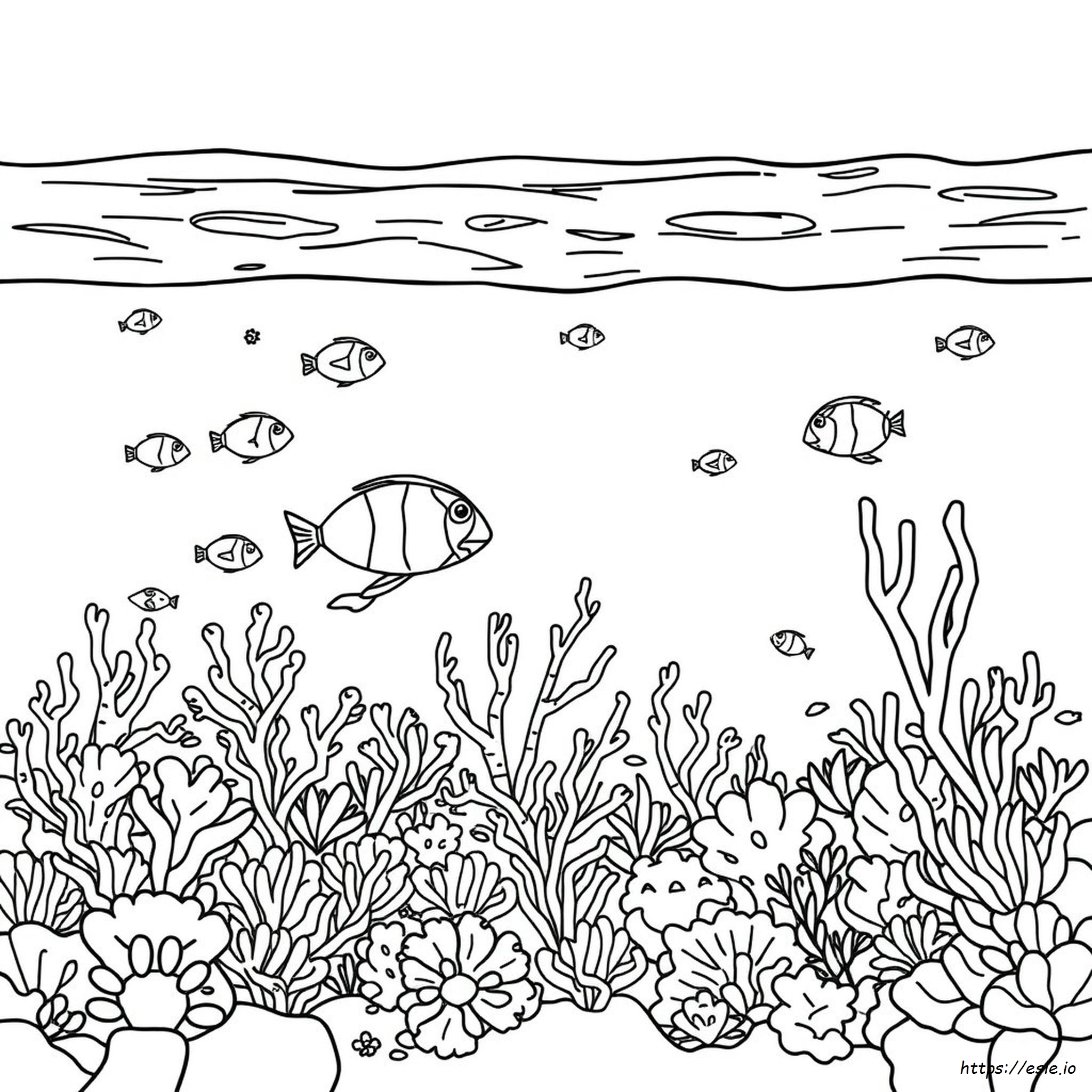 Coral Reef Coloring