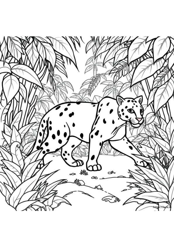 Gambar Mewarnai Panther