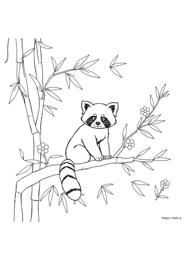 Foi De Colorat Panda Roșu
