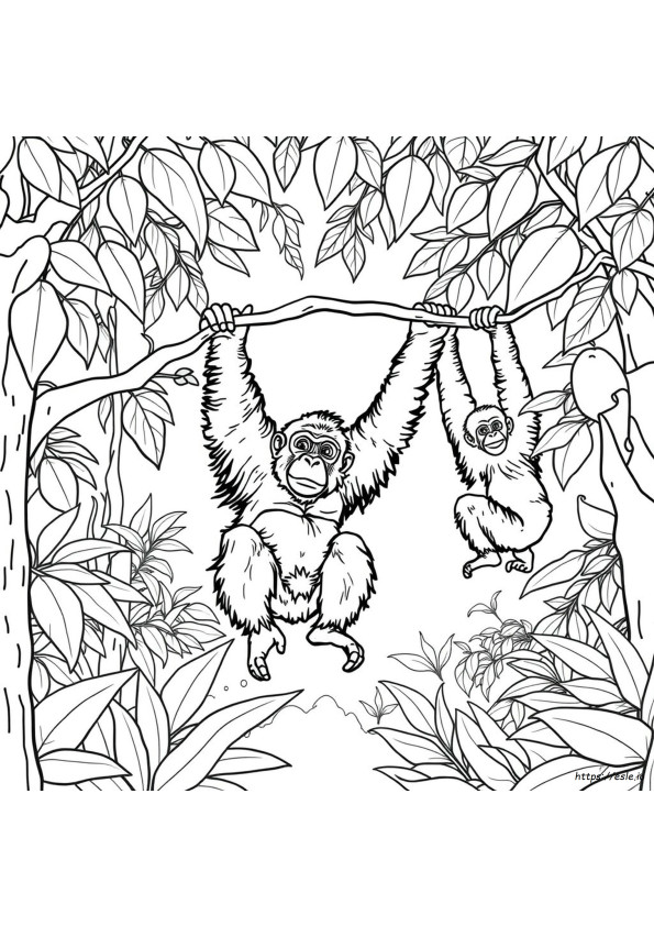 Orangutan Colouring In