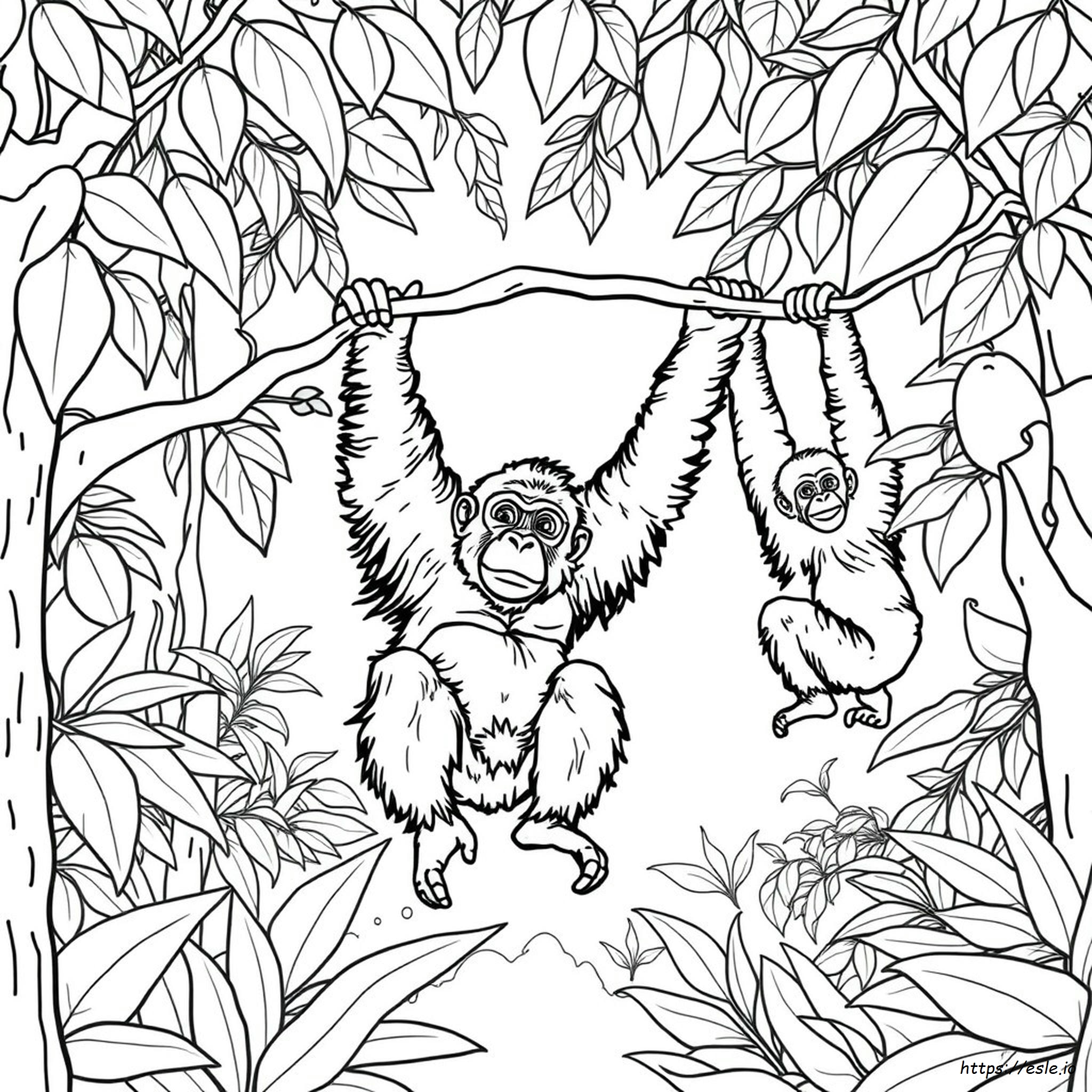Gambar Mewarnai Orangutan