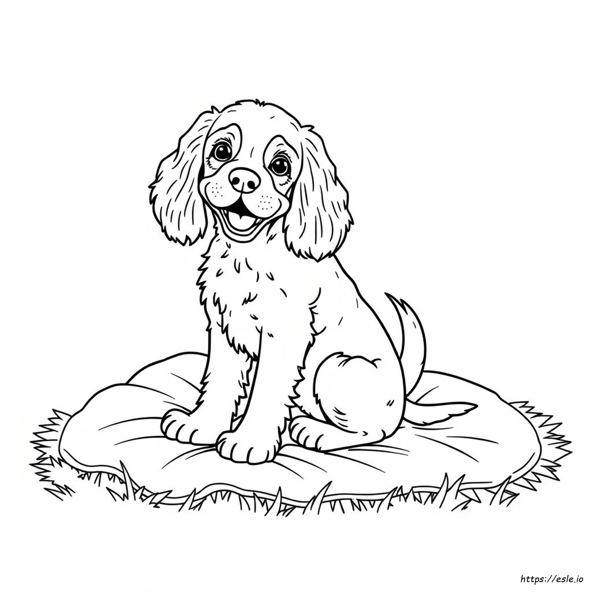 Cocker Spaniel Colouring Book