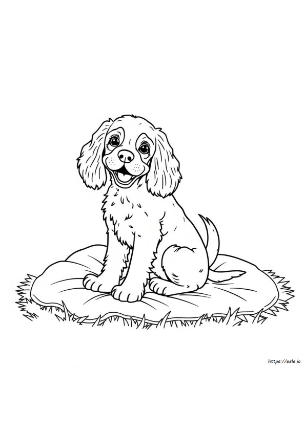Libro Da Colorare Cocker Spaniel
