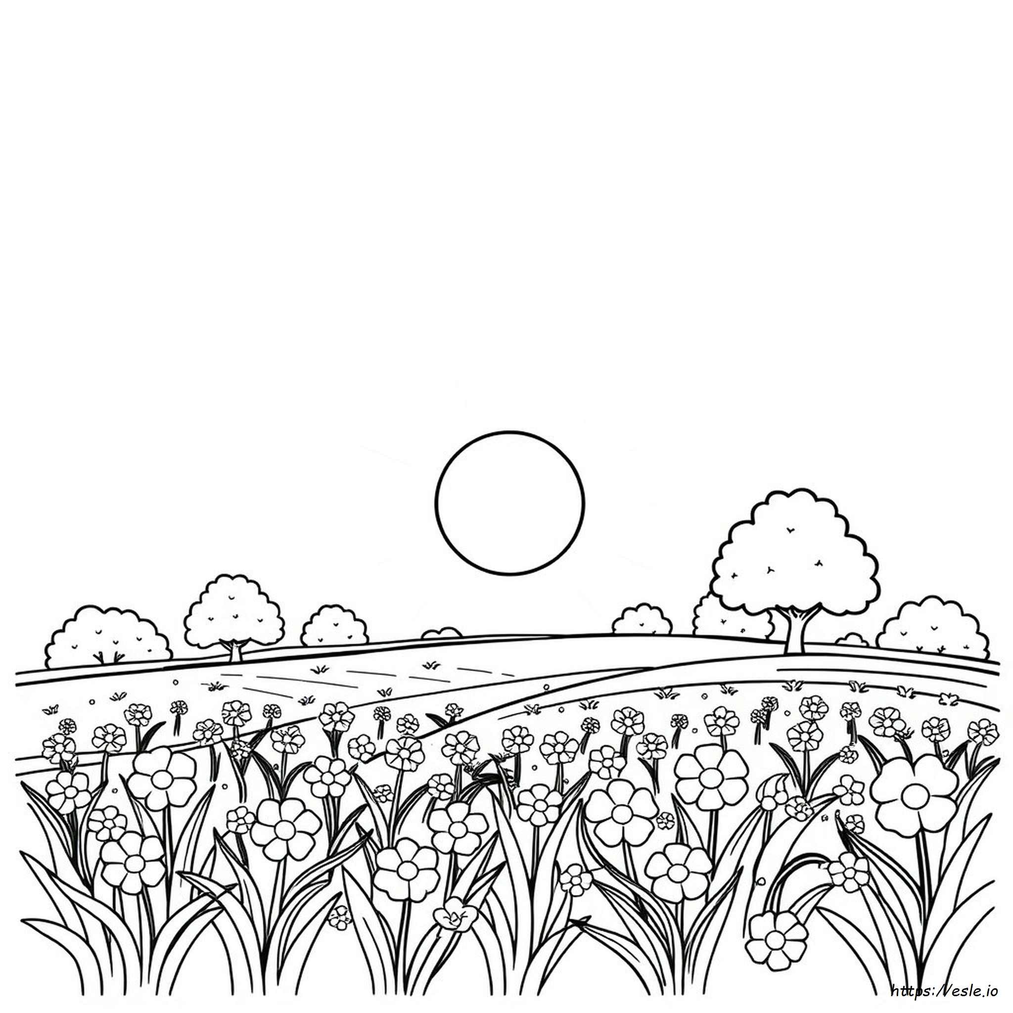 Summer Sun Coloring Page