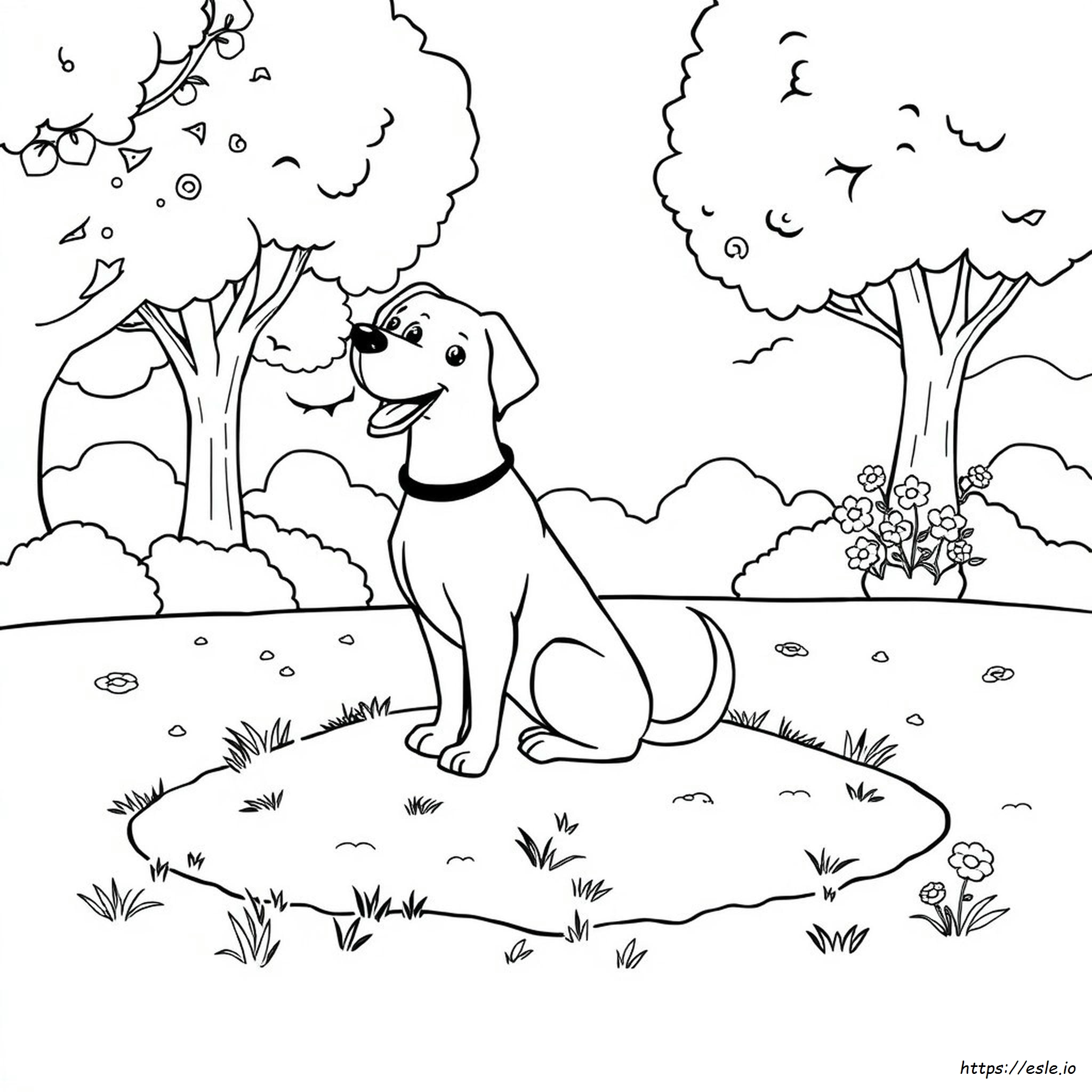 Páginas De Libro Para Colorear De Perros