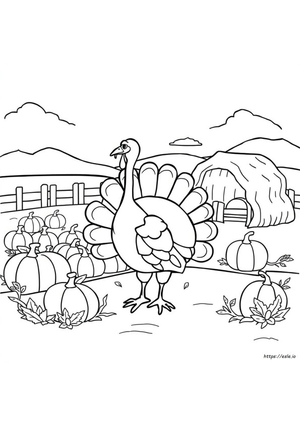 Turkey Coloring Pictures