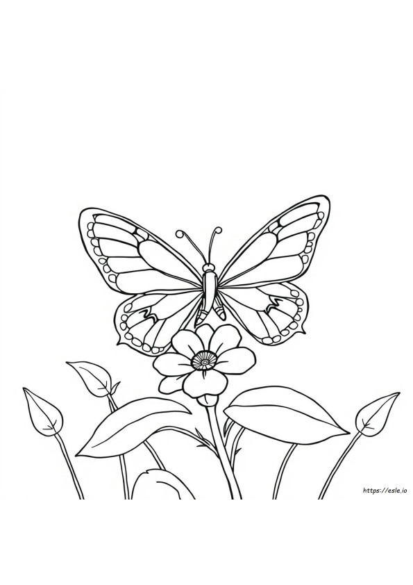 Colouring Pages Of A Butterfly