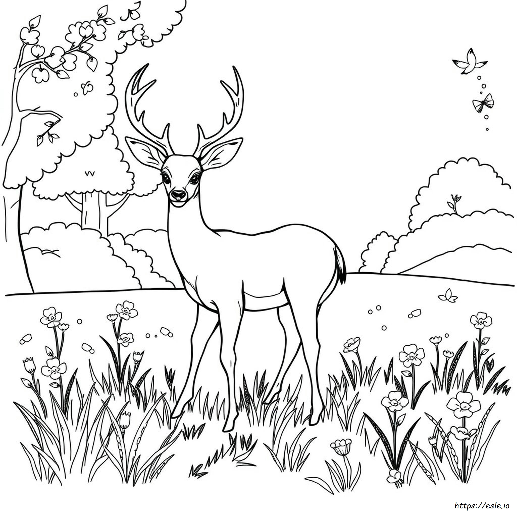 Coloring Page Of A Deer