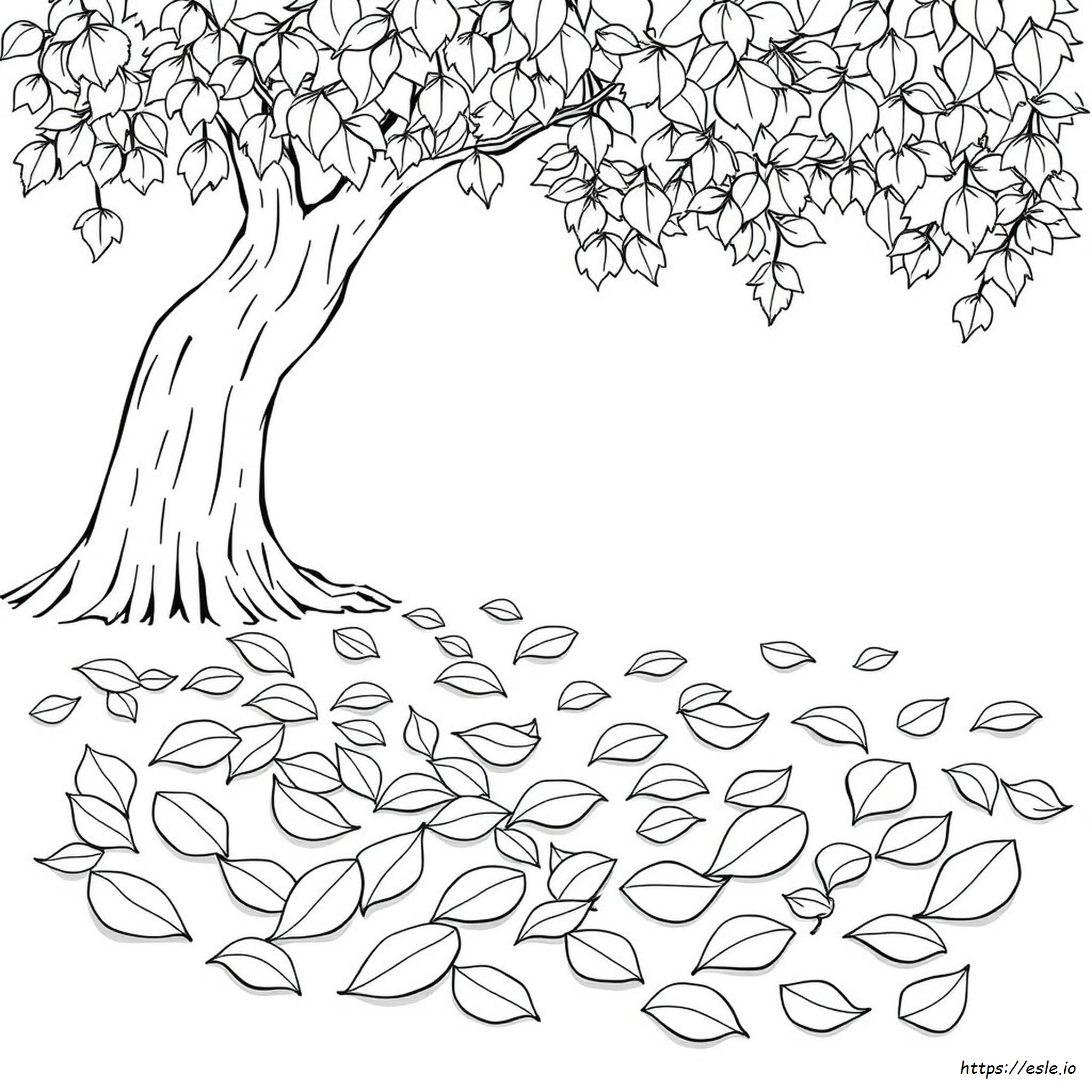 Libro De Colorear De Hojas