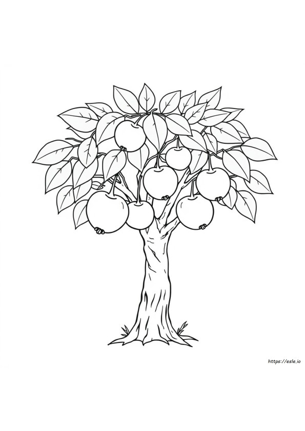 Peace Fruit Of The Spirit Coloring Page