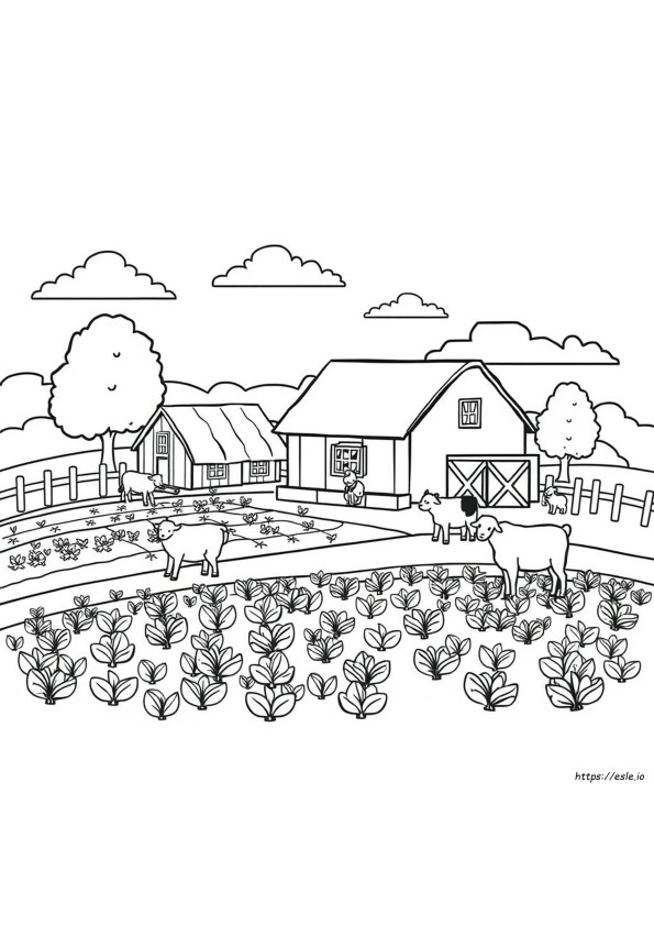 Boerderij Kleurboek Pagina's