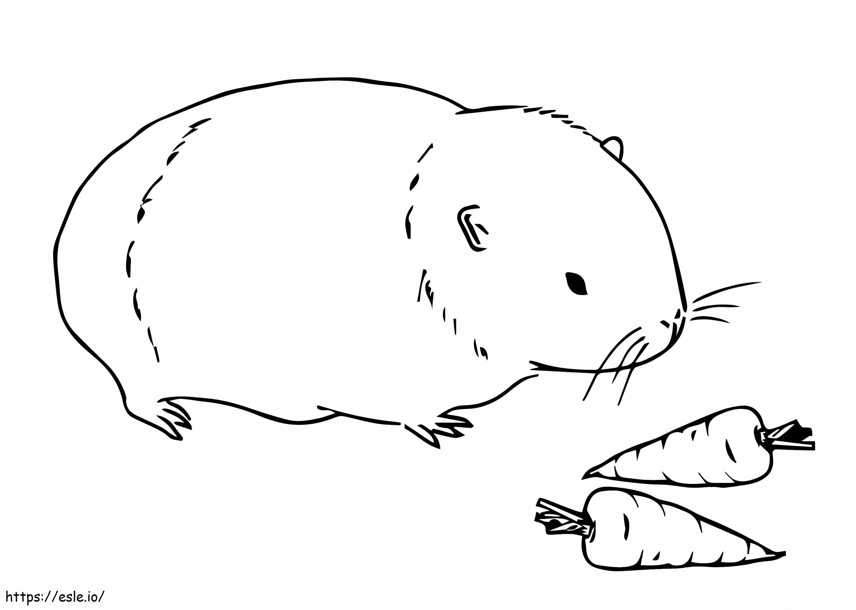 Guinea Pig And Carrots coloring page