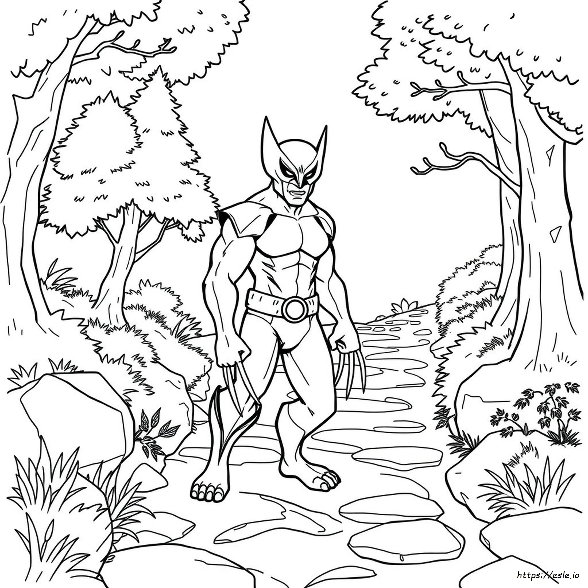 Wolverine Immagine Da Colorare