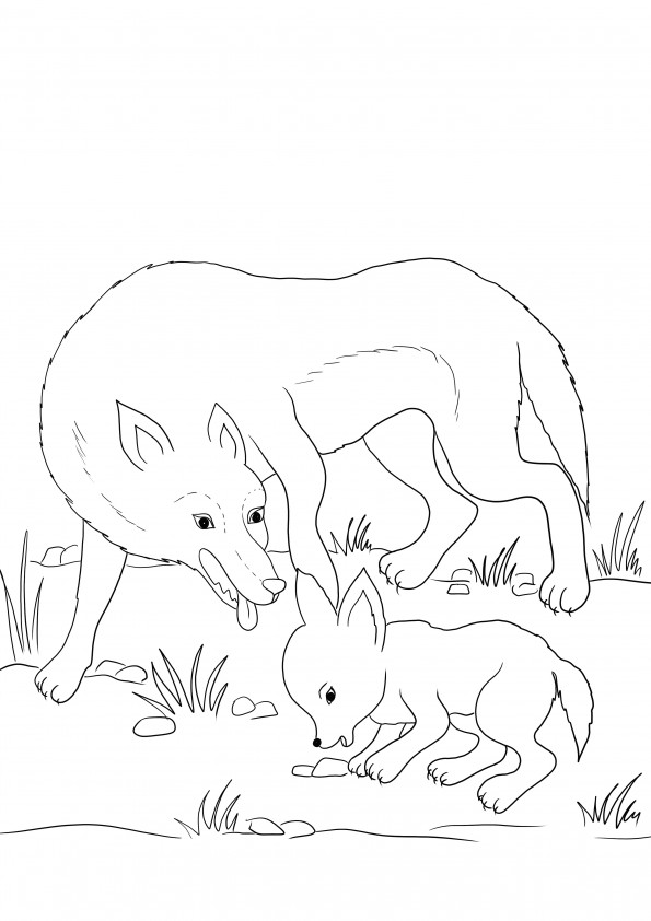 A Wolf Mother and Wolf Cub going together coloring and free downloading