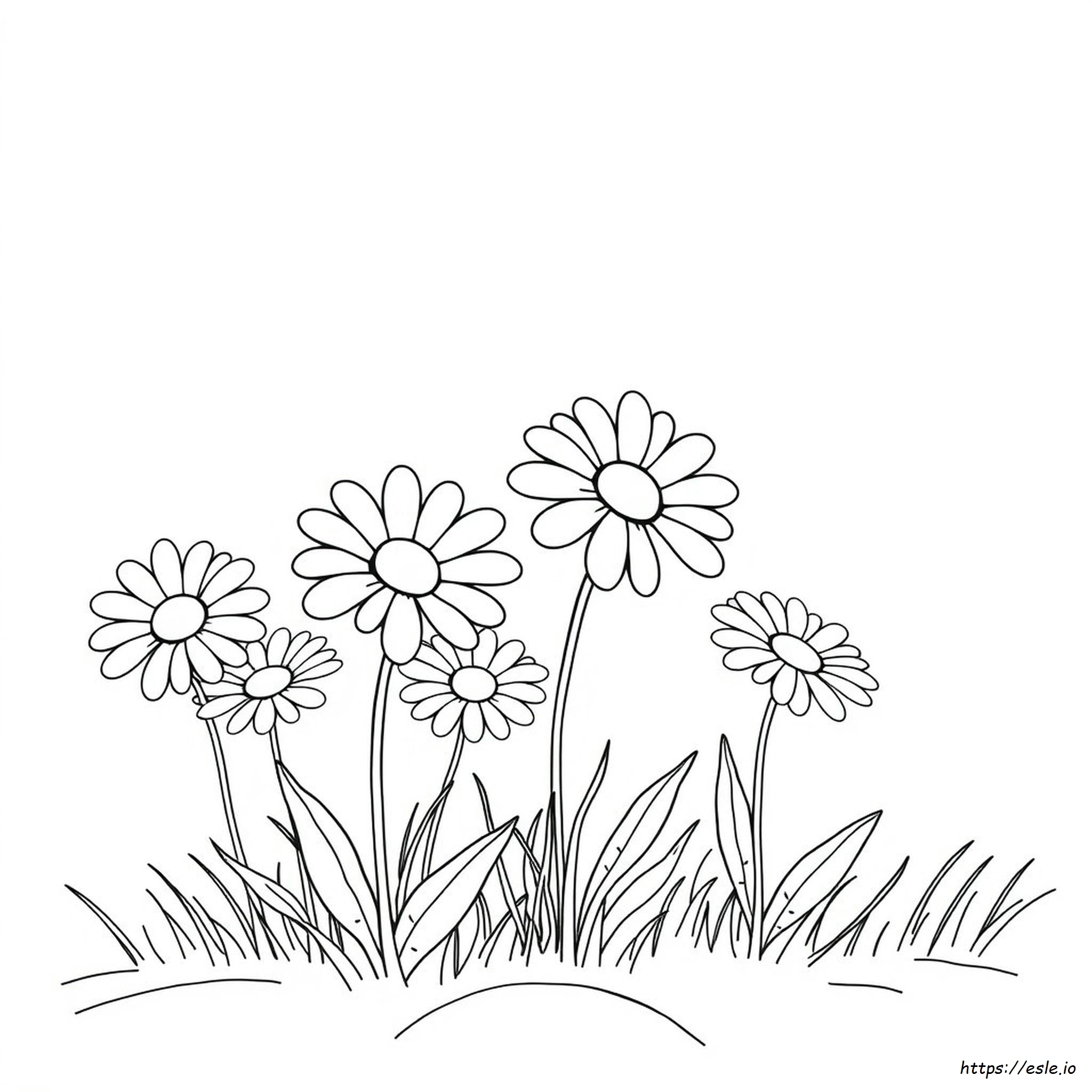 Coloring Pictures Of Daisies