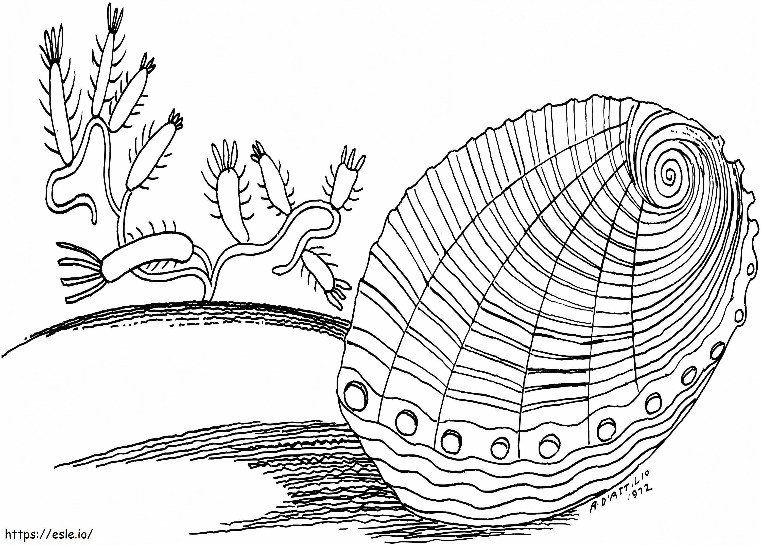 Clam Underwater coloring page