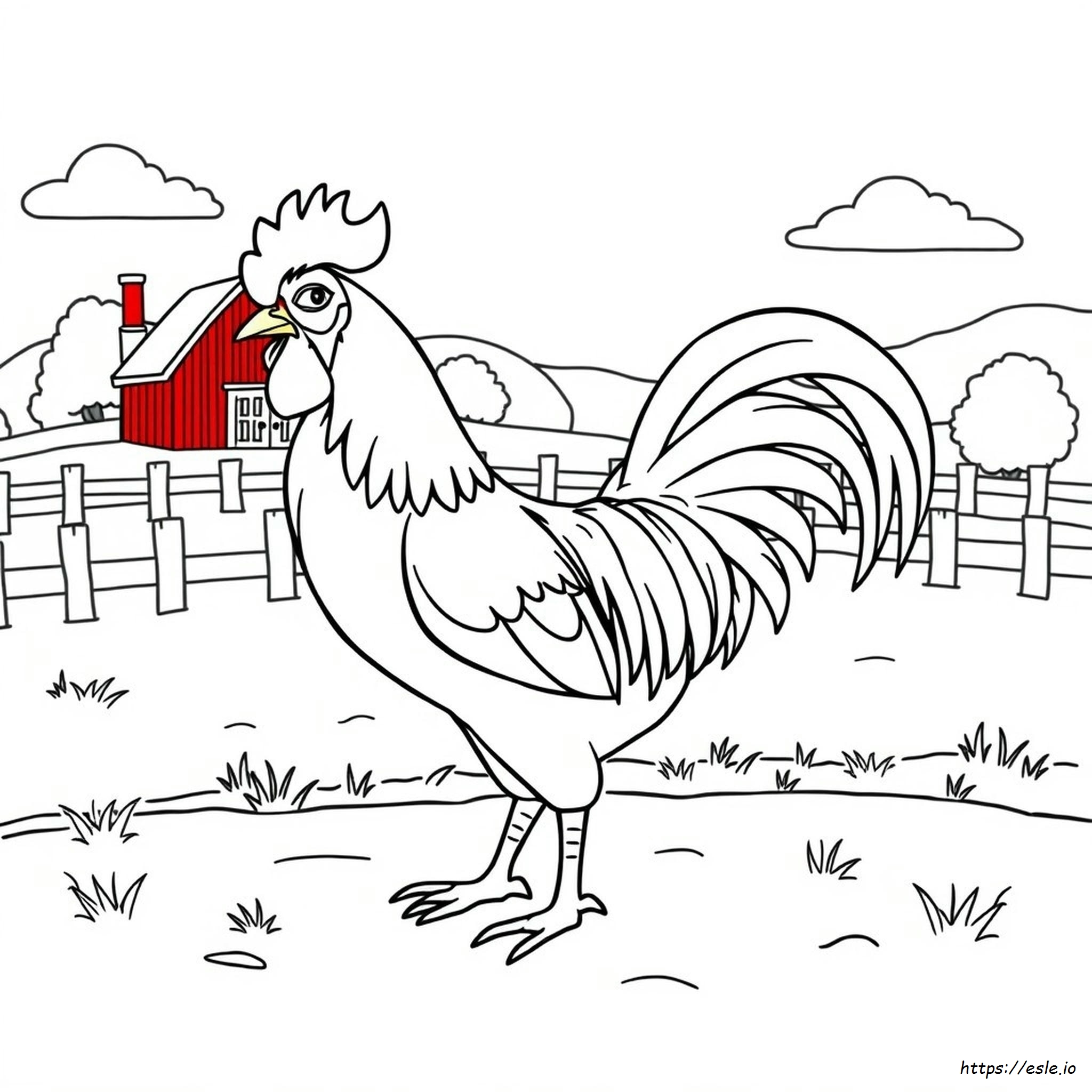 Come Colorare Un Gallo