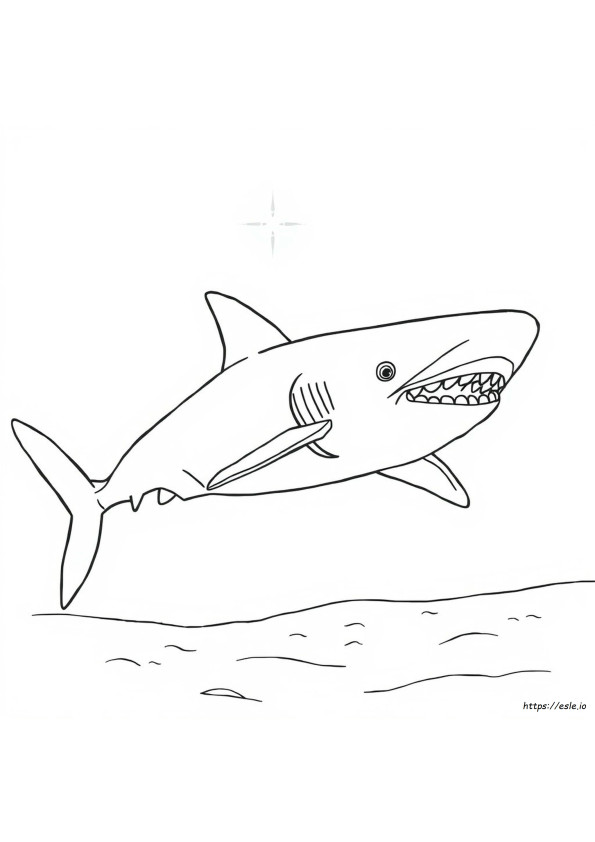 Megalodon Para Colorir