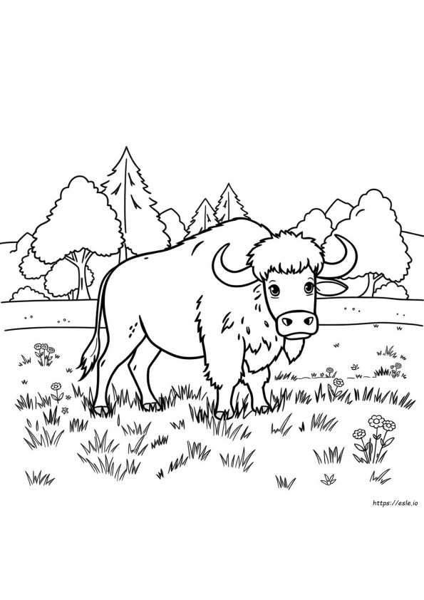 Coloriage Bisons