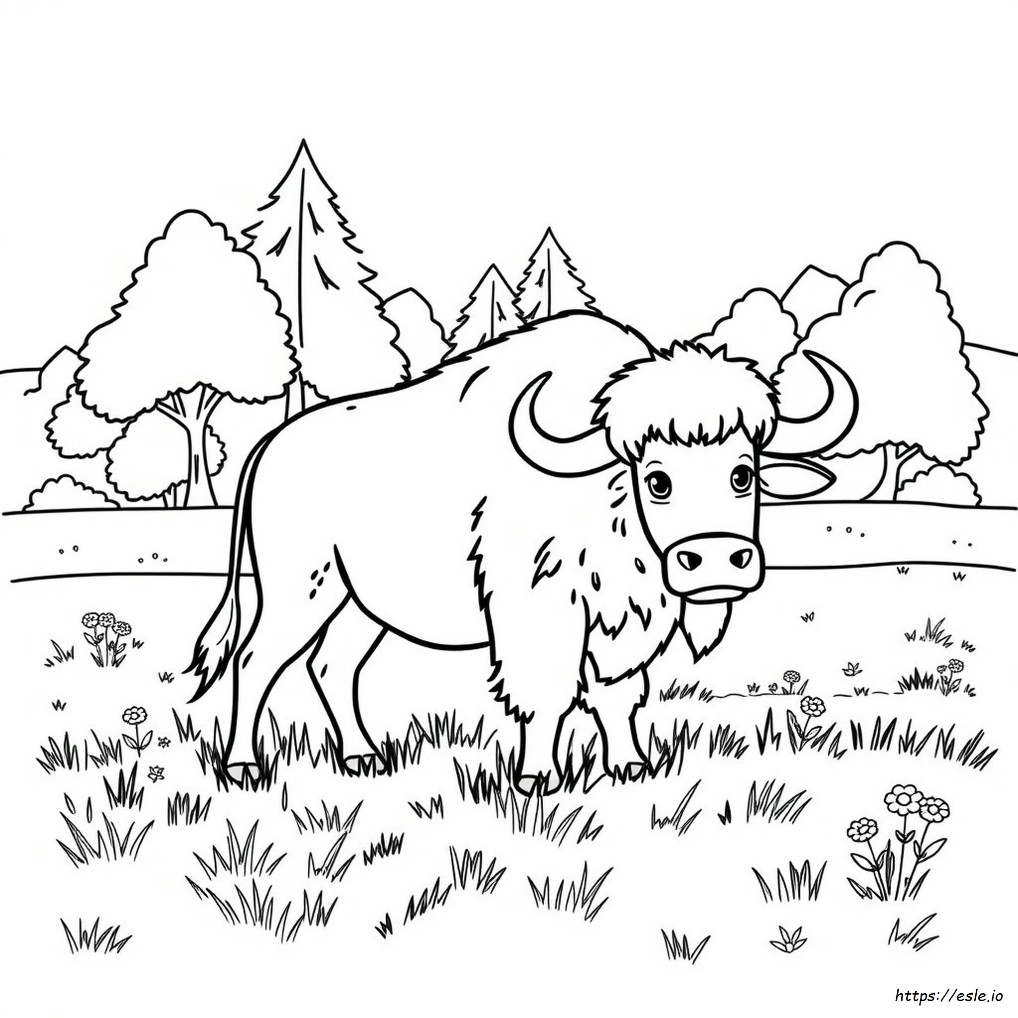 Buffalo Colouring Pictures