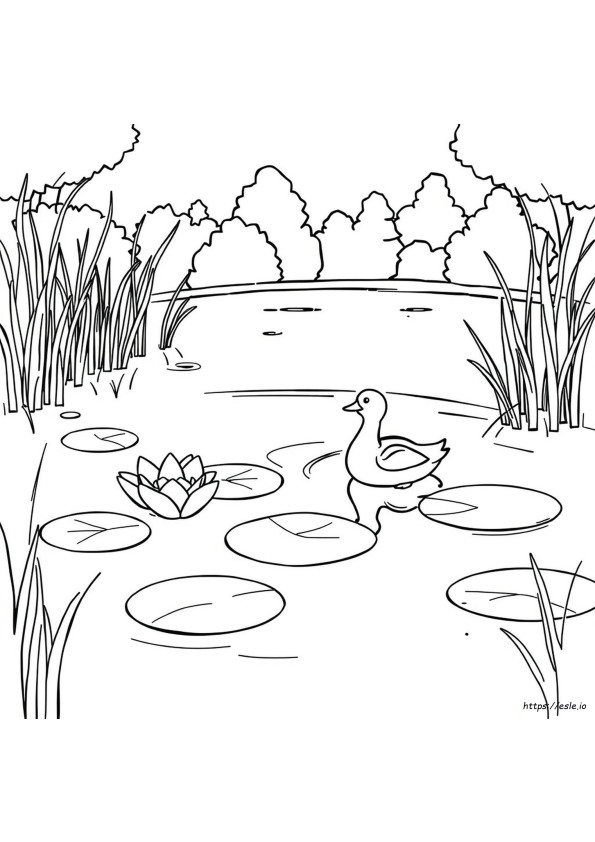 Lagoa Para Colorir