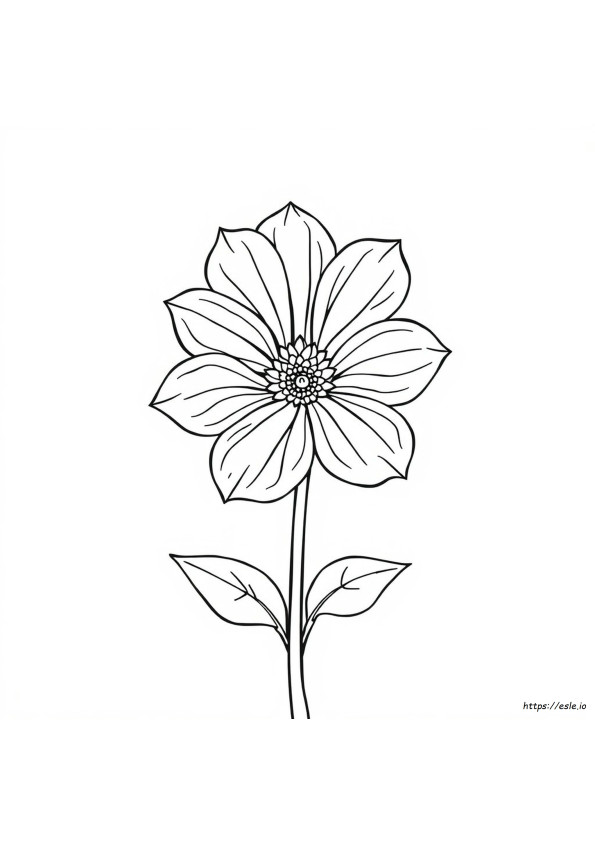 Fortgeschrittene Schwierige Blumen Ausmalbilder Zum Ausdrucken