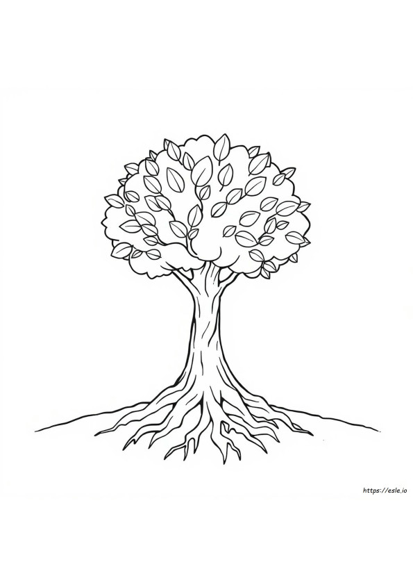 Coloriage Réputation