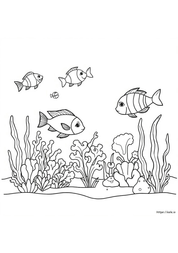 Hidupan Laut Colouring