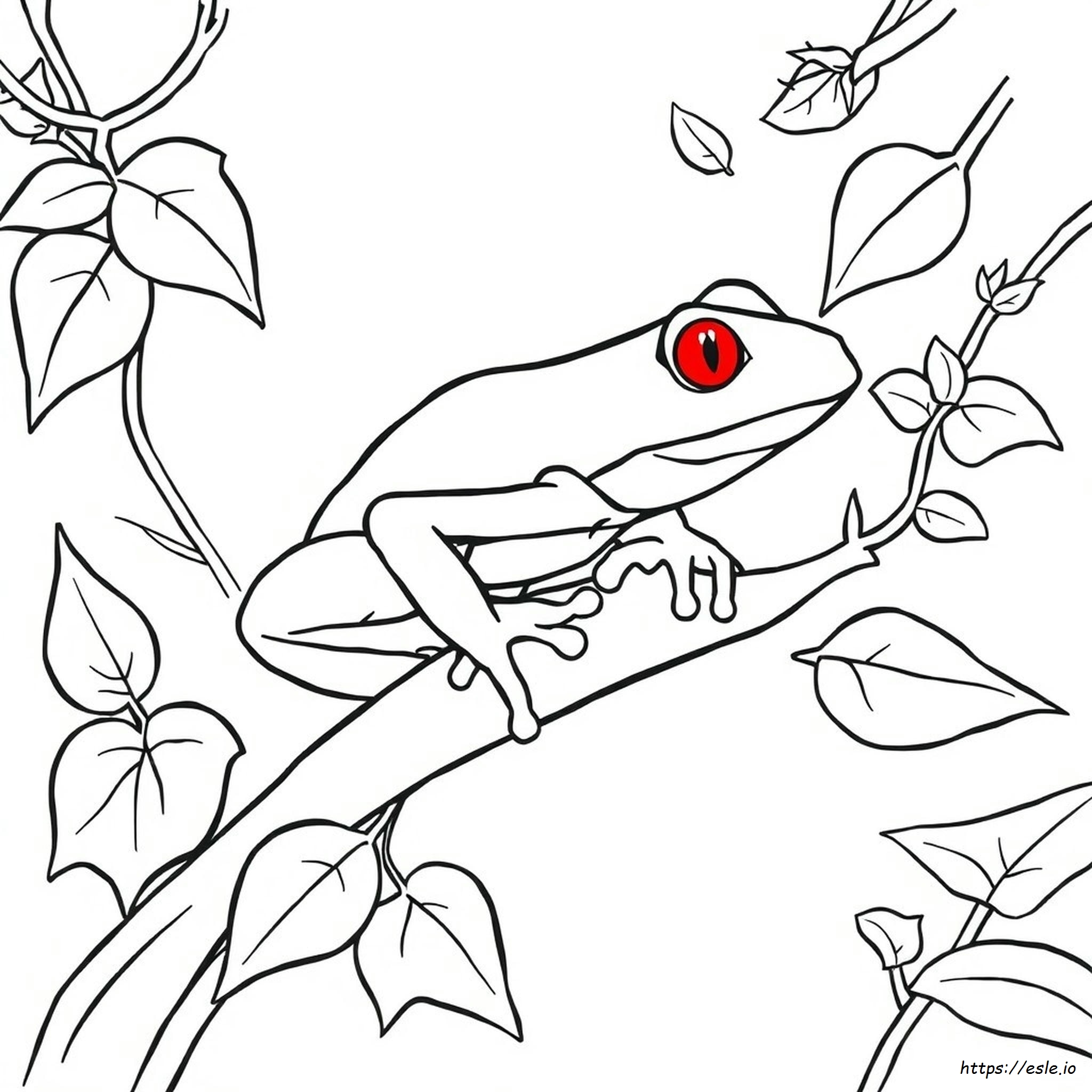 Red Eyed Tree Frog Coloring Page