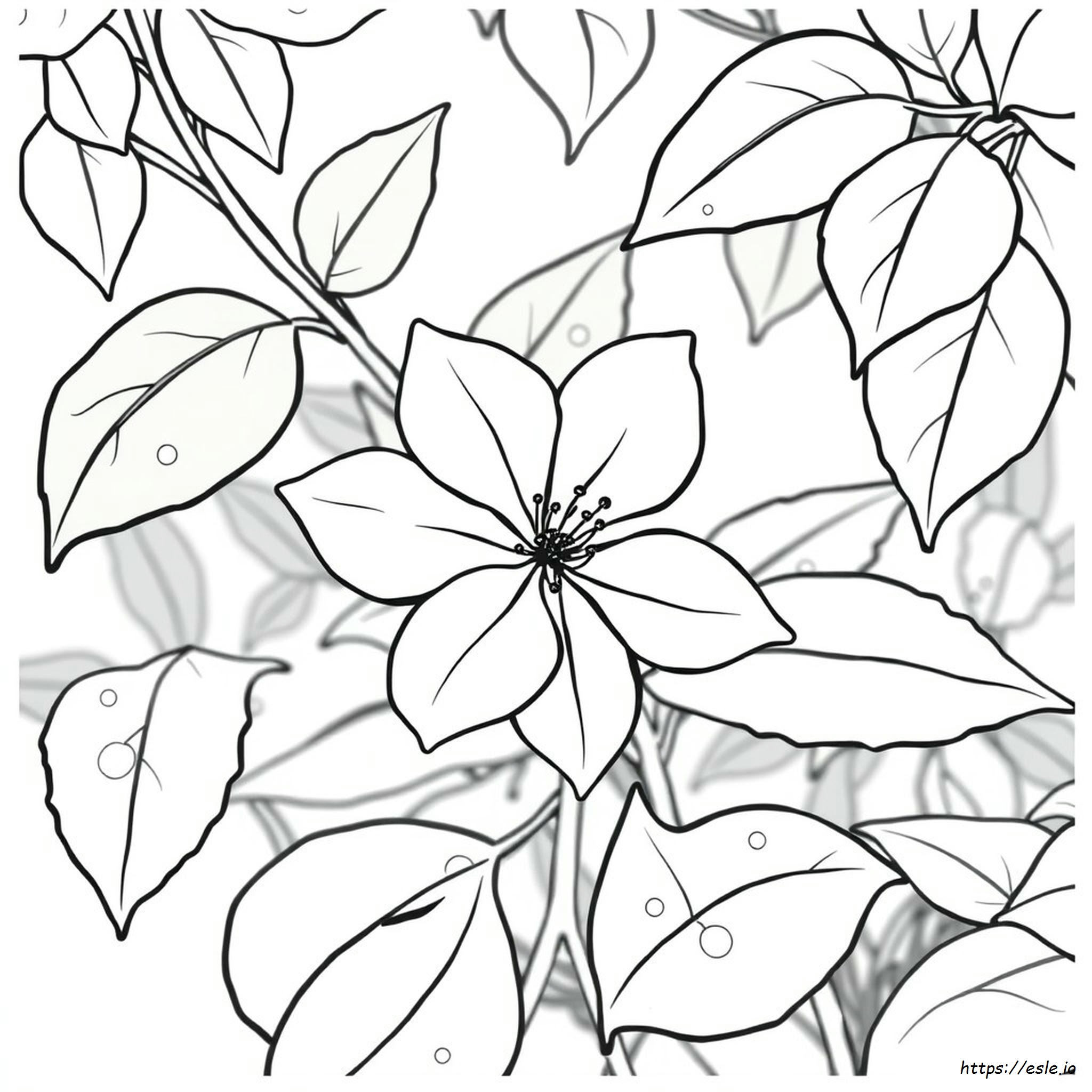 Yellow Jessamine Coloring Page