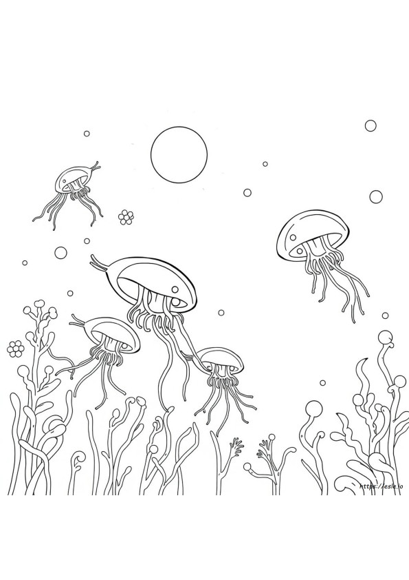 Euglena Para Colorir