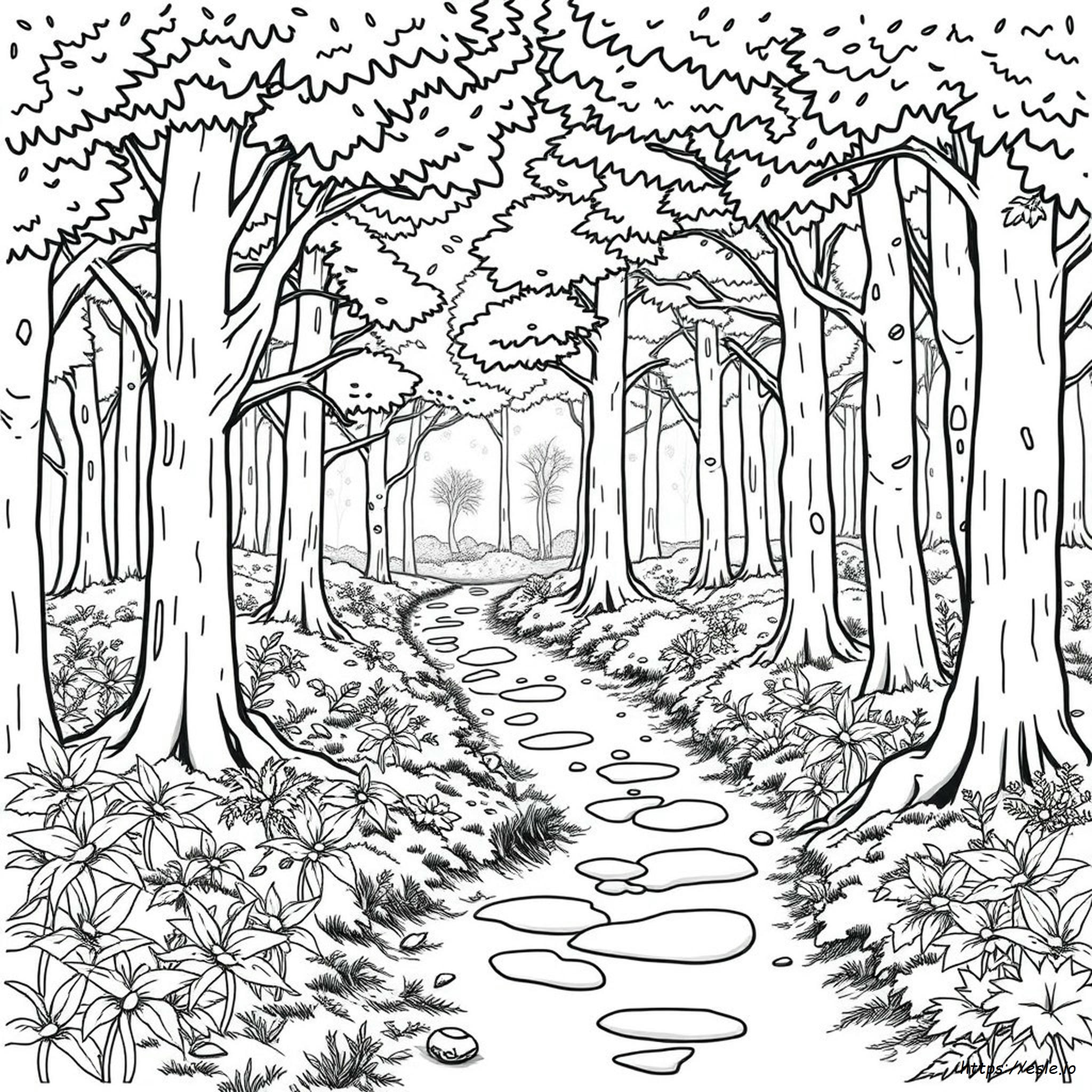 Forest Coloring Pages For Adults