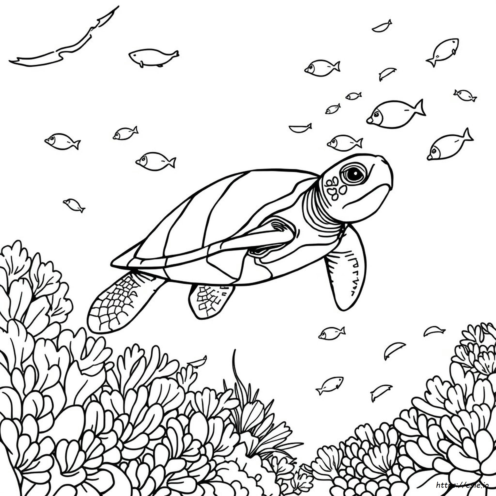 Advanced Sea Turtle Coloring Page