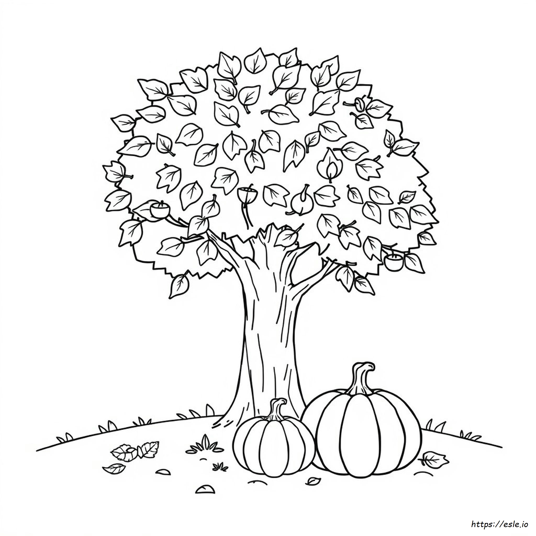 Disegni Da Colorare Di Ottobre Stampabili Gratuitamente