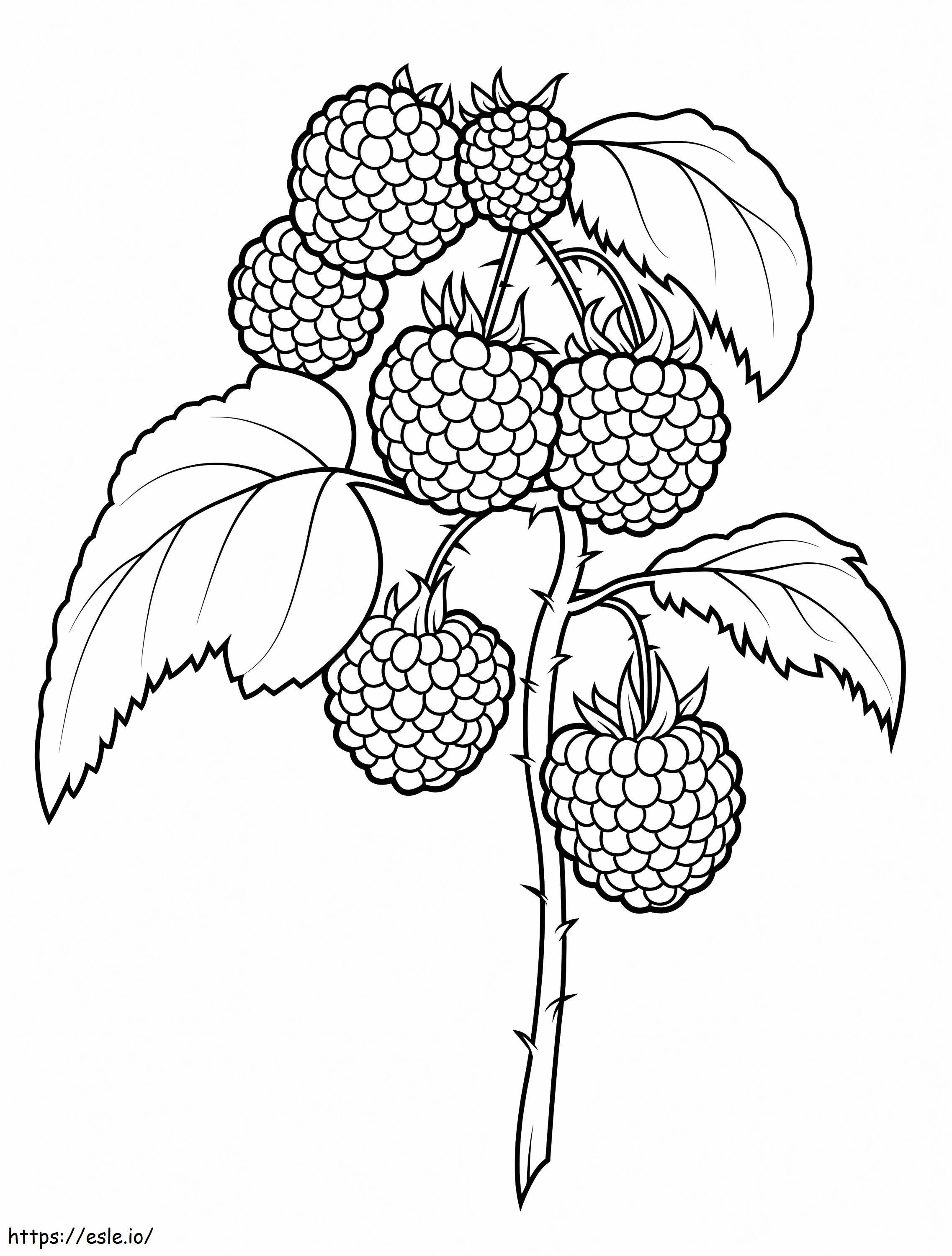 Mulberry Tree coloring page