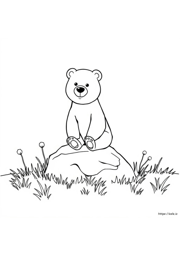 Dibujos De Osos Para Colorear Preescolar