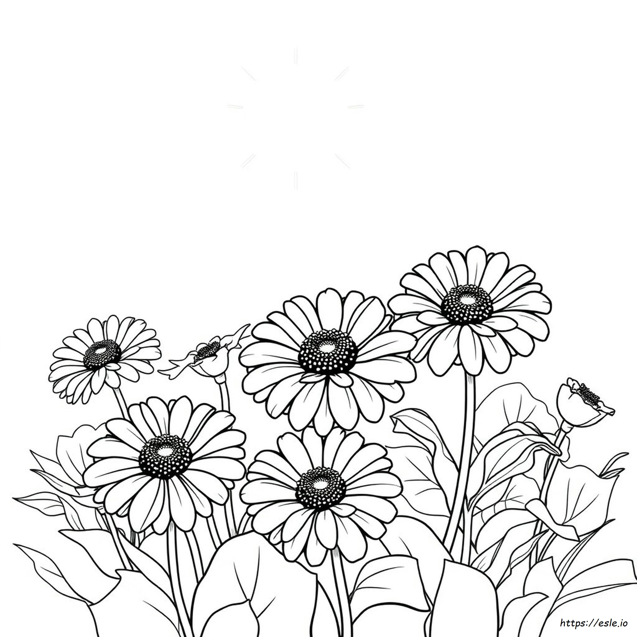 Significado Del Color De La Zinnia
