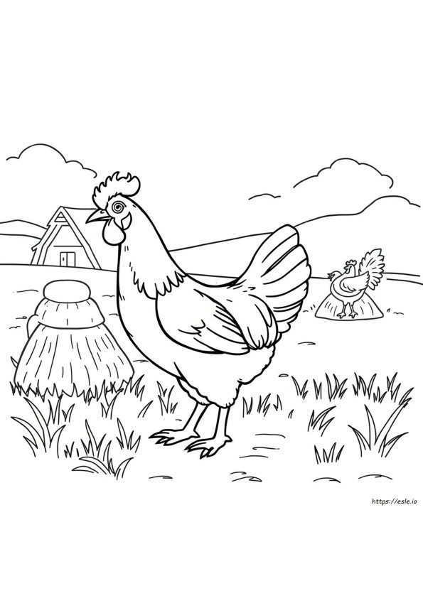 Gallinas Para Colorear
