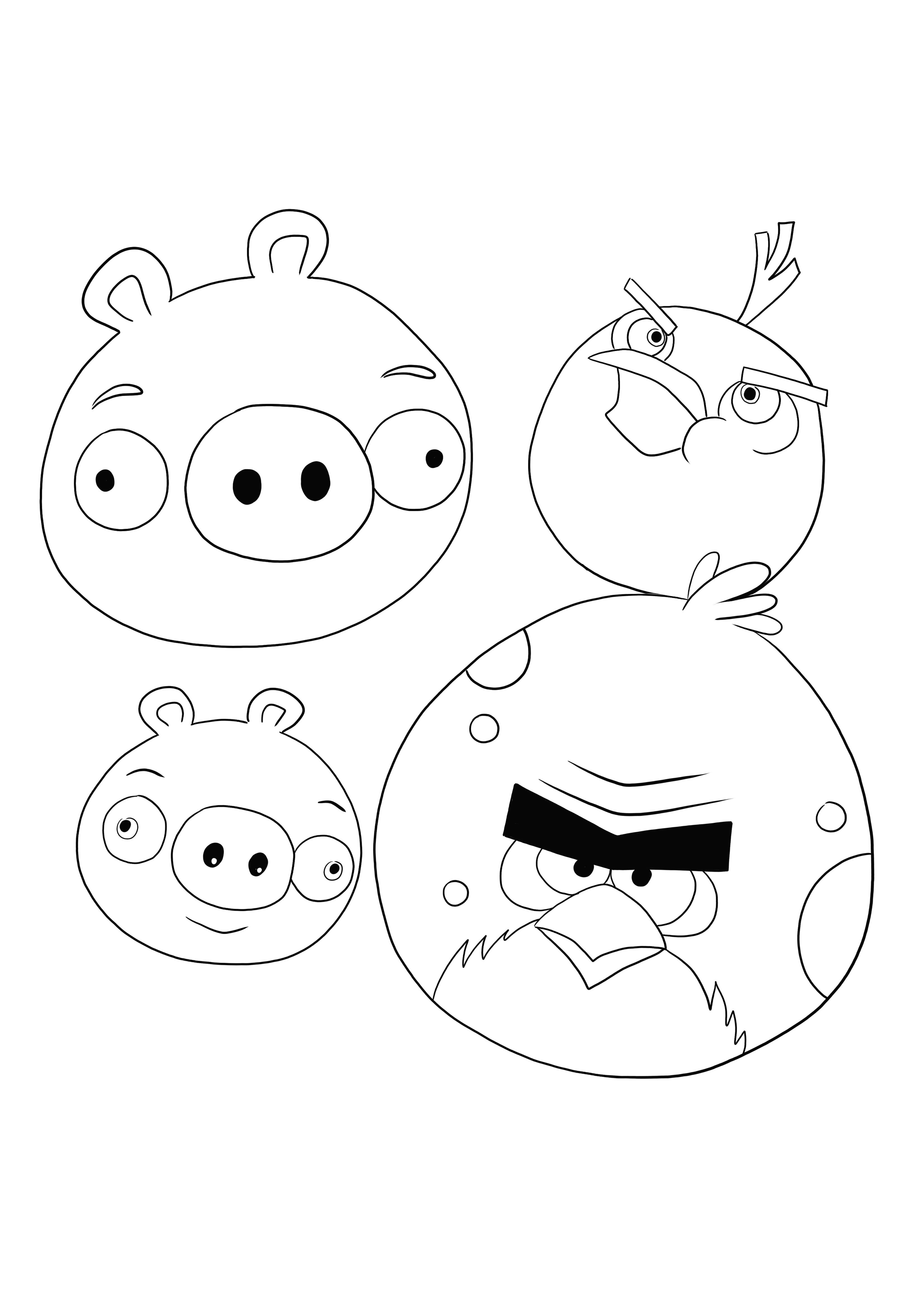 Folha de colorir Angry Birds grátis para baixar e fácil de colorir por crianças