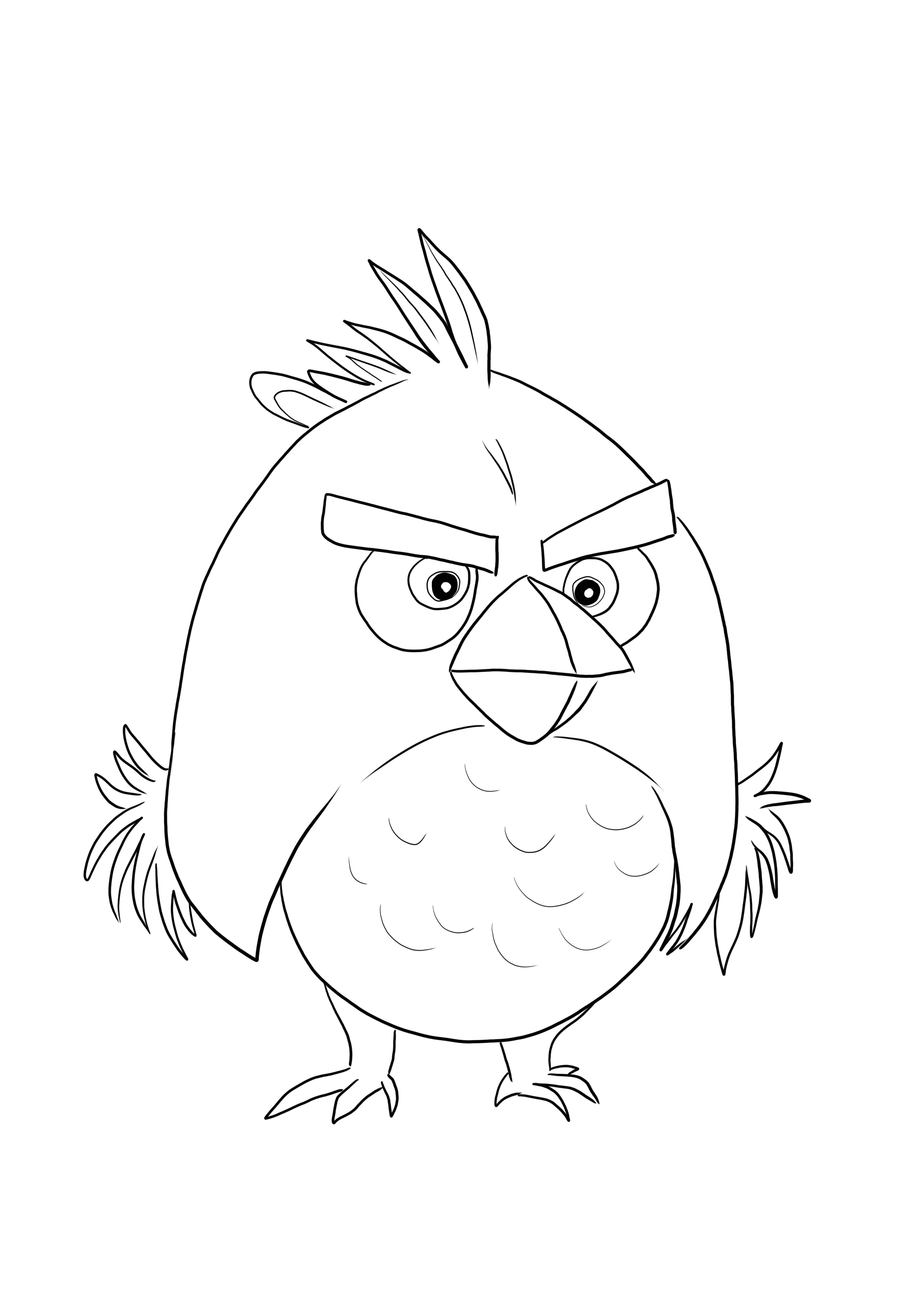 Red Bird van Angry Birds is klaar om te worden bedrukt en gekleurd met favoriete kleuren kleurplaat
